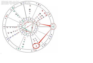占星采用什么宫位制