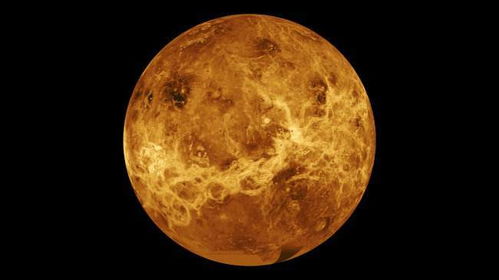 金星在星盘中的意义