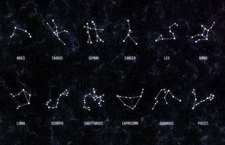 阳性星座是哪些星座