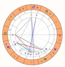 星盘里金星代表什么