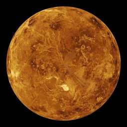 星盘中的金星