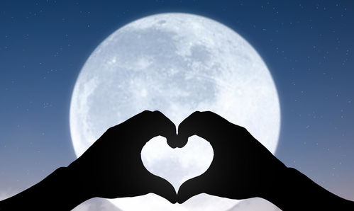 月亮星座爱情观